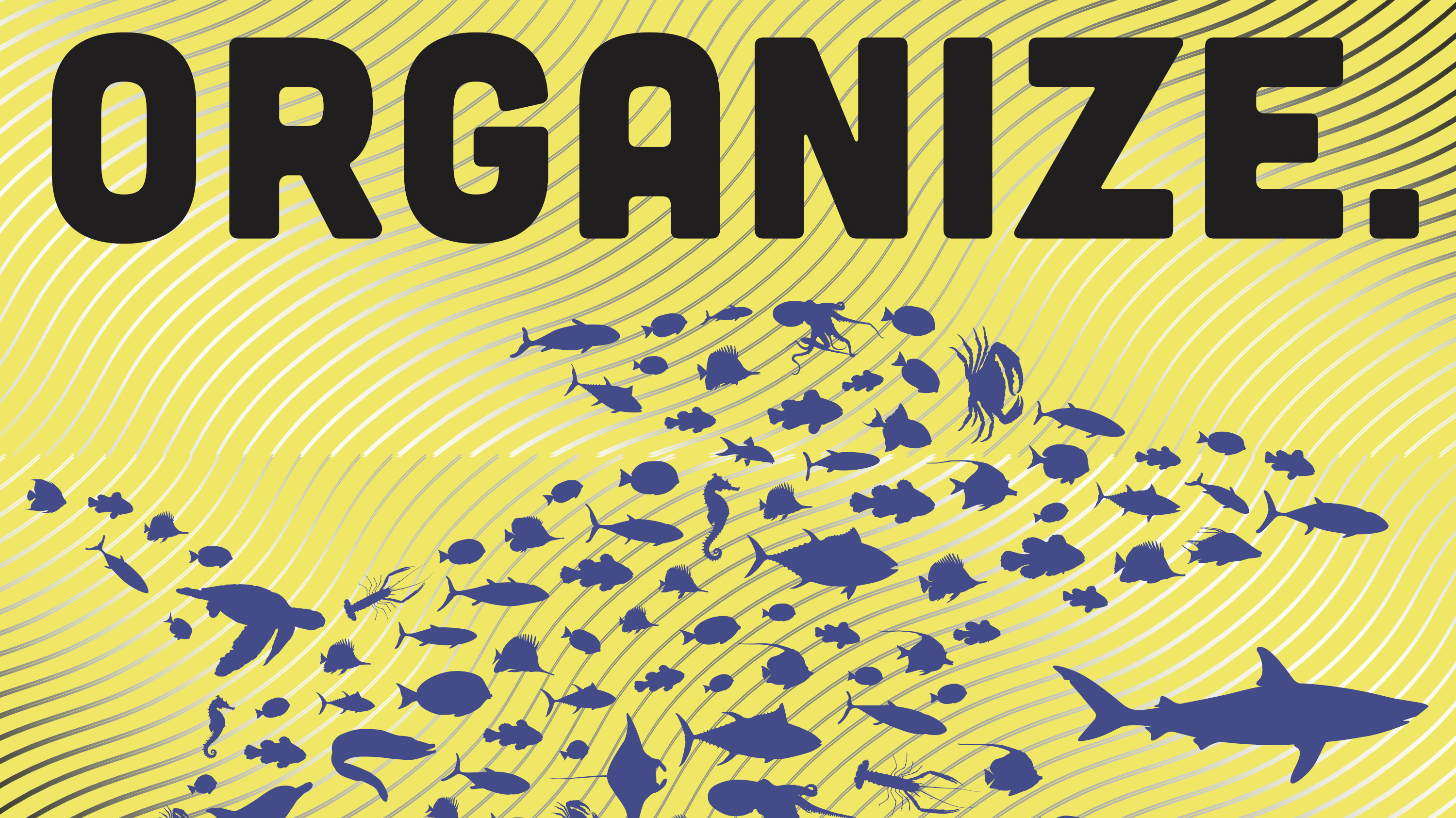 Organize.