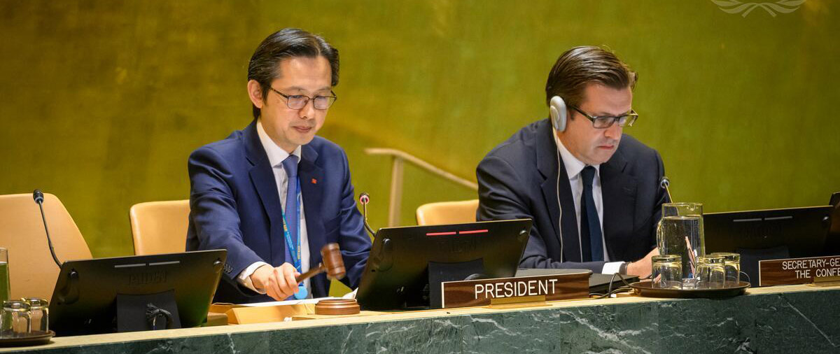 UN Conference President